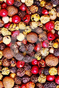 Different types of peppers