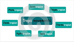 Different types of Plants Tropic Movements. Phototropism, Gravitropism, Hydrotropism, Thermotropism, Aerotropism, Thigmotropism,