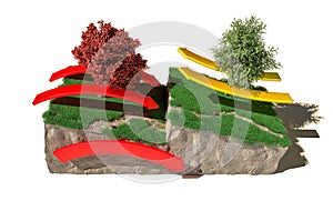 Different types of plate boundaries: convergent boundaries, terrain section, 3d render.