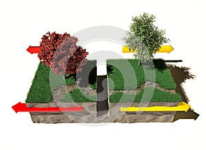 Different types of plate boundaries: divergent boundaries, terrain section, 3d render.