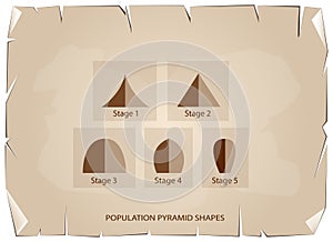 Different Types of Population Pyramids on Old Paper Background