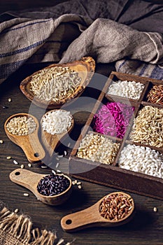 Different types of rice