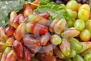 Different types of ripe sweet grapes, closeup
