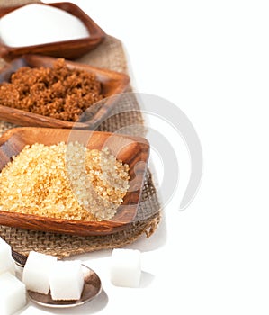 Different types of sugar - Demerara, Brown, White and Refined Sugar