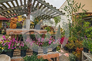 Different types of trees, shrubs and flowers, flower pots, and decor for garden and outdoor patios in local nursery, Orcutt, Cali