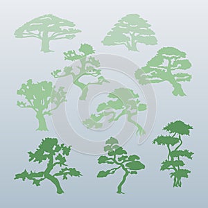 Different types of trees vector.