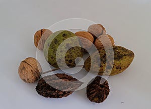 Walnuts seeds and nutshells