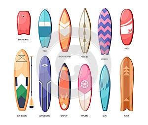 Different types of water boards set. Long and short surfboards and summer planks of various design, shapes, sizes and