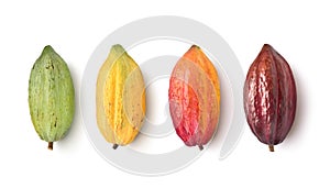 Different varieties of cocoa pods
