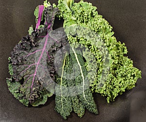 Different varieties of kale leaves