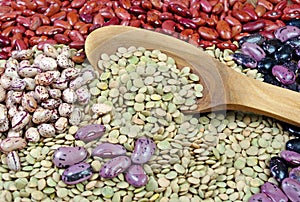 Different varieties of kidney beans