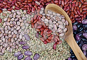 Different varieties of kidney beans