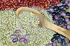 Different varieties of kidney beans