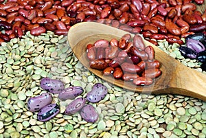 Different varieties of kidney beans