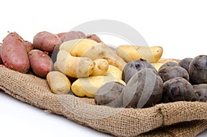 Different varieties of potatoes on a burlap
