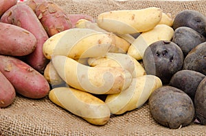 Different varieties of potatoes on a burlap