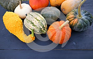 Varieties of pumpkins and winter squashes