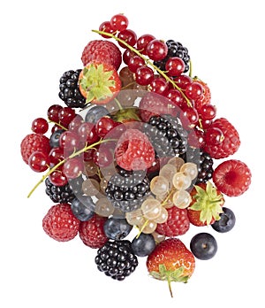 Different varieties of summer berries