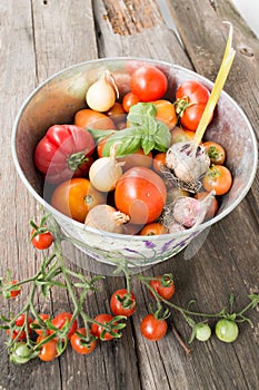 Different varieties of tomatoes with garlic, basil.