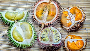 Different variety of durian fruit that can be found in Borneo, Indonesia