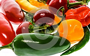 Different variety of hot peppers or chilies, isolated on white.