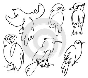 Different vector birds, one line birds sketch illustration. Minimalistic linear art, outline for tattoo