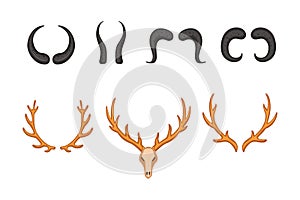 Different vector horns, horny hunting trophy illustration in cartoon style.
