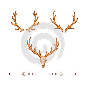 Different vector horns, horny hunting trophy illustration in cartoon style.