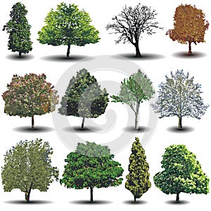 Different vector trees