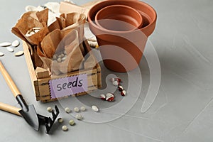 Different vegetable seeds and gardening tools on grey table. Space for text