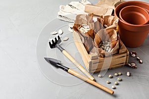 Different vegetable seeds and gardening tools on grey table