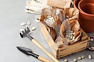 Different vegetable seeds and gardening tools on grey table