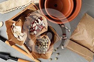 Different vegetable seeds and gardening tools on light grey table, flat lay