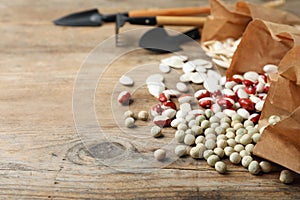 Different vegetable seeds and gardening tools on table