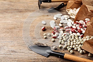 Different vegetable seeds and gardening tools on wooden table, closeup