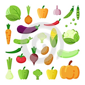 Different vegetables color flat vector illustrations set