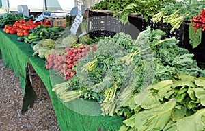 Different Vegetables on Display at a Farmer`s Market