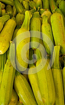 Different vegetables are displayed in a vegetable market western sahara, morocco