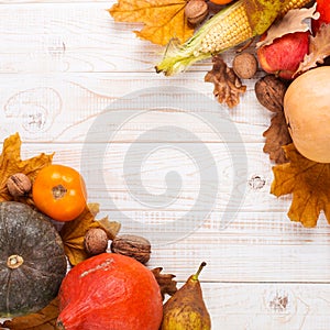 Different vegetables, pumpkins, apples, pears, nuts, corn, tomatoes and dry leaves on white wooden background. Autumn Harvest