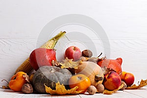 Different vegetables, pumpkins, apples, pears, nuts, corn, tomatoes and dry leaves on white wooden background. Autumn Harvest