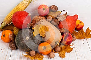 Different vegetables, pumpkins, apples, pears, nuts, corn, tomatoes and dry leaves on white wooden background. Autumn Harvest