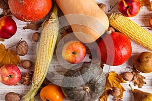 Different vegetables pumpkins, apples, pears, nuts, corn, tomatoes, dry yellow leaves on white wooden background. Autumn Harvest