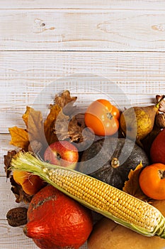 Different vegetables pumpkins, apples, pears, nuts, corn, tomatoes, dry yellow leaves on white wooden background. Autumn Harvest