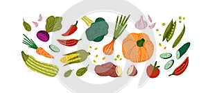 Different vegetables set. Fresh farm products, healthy autumn harvest, fall crop. Natural vegan food, organic pumpkin