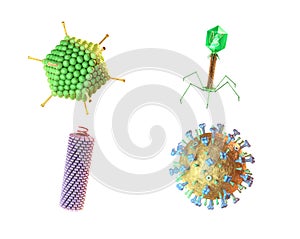 Different virus shapes