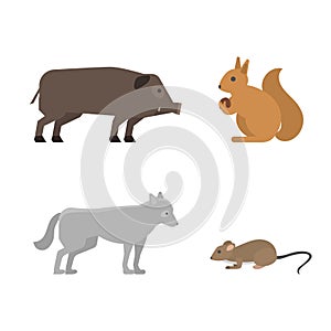 Different wild animals dangerous vertebrate canine characters large predator vector illustration.