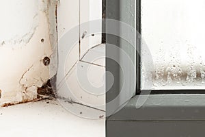 Different windows with moisture and mold and rust in apartments, repair and replacement of windows