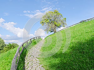 Difficult cobble stones upward path