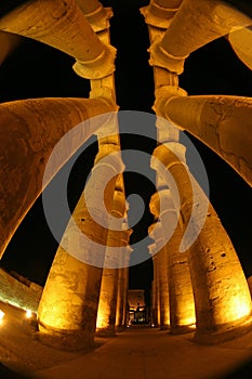 Diffrent view on the pillars at Luxor temple
