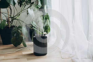 Diffuser, apartment with moisturizer. Modern humidifier at home, moistens dry air surrounded by indoor Monstera photo